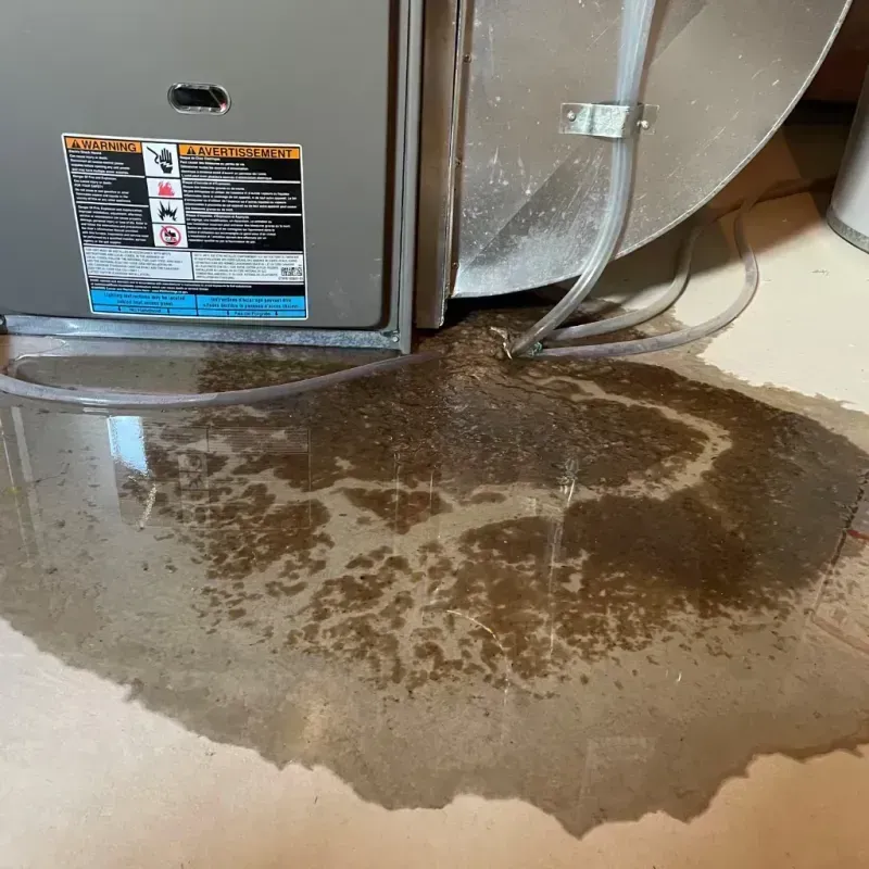 Appliance Leak Cleanup in Union City, GA